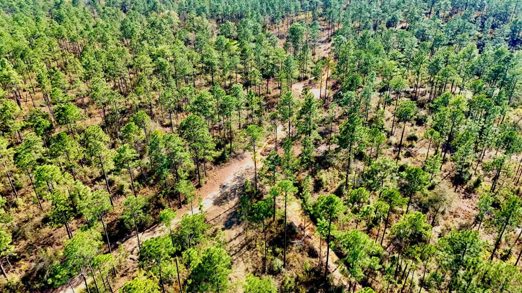 0 Hubert Morris Road Wilmer AL 36587