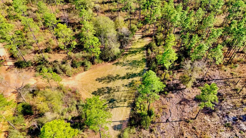 0 Hubert Morris Road Wilmer AL 36587