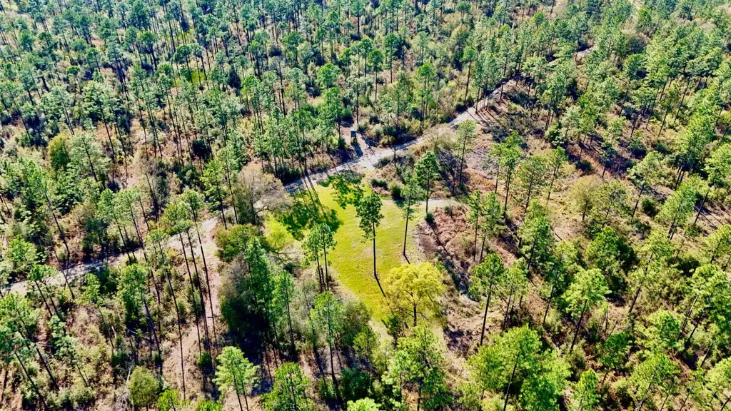 0 Hubert Morris Road Wilmer AL 36587