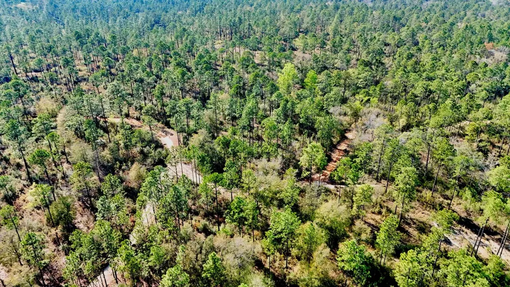 0 Hubert Morris Road Wilmer AL 36587
