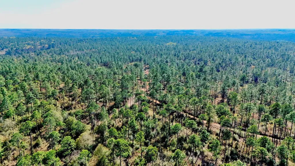 0 Hubert Morris Road Wilmer AL 36587