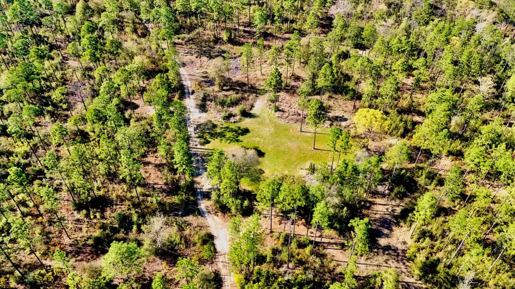 0 Hubert Morris Road Wilmer AL 36587