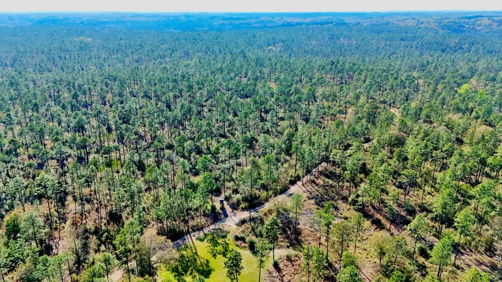 0 Hubert Morris Road Wilmer AL 36587