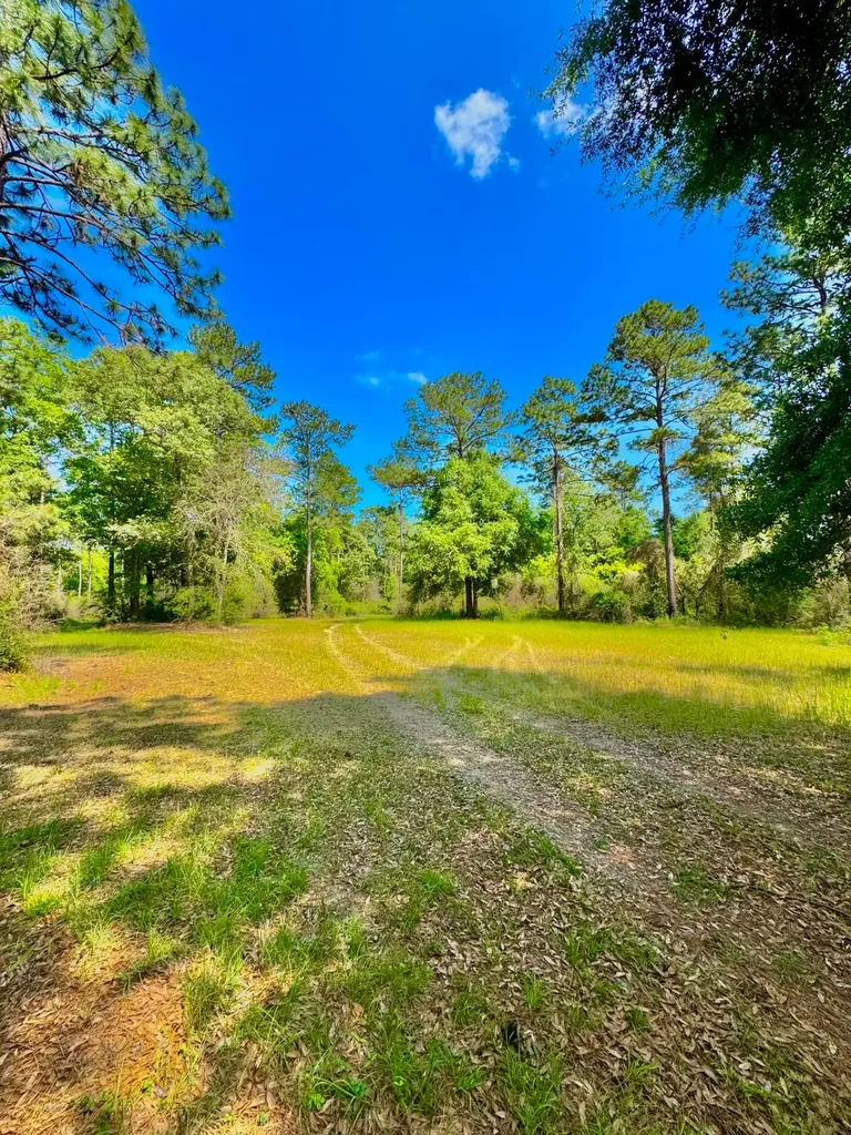0 Hubert Morris Road Wilmer AL 36587
