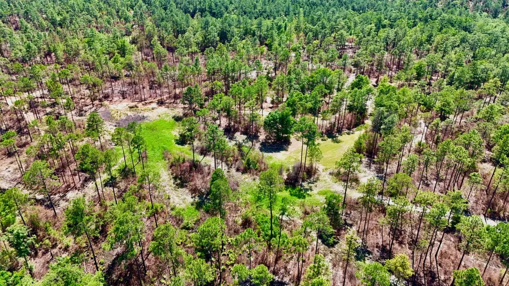 0 Hubert Morris Road Wilmer AL 36587