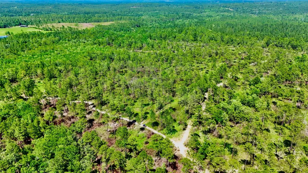 0 Hubert Morris Road Wilmer AL 36587