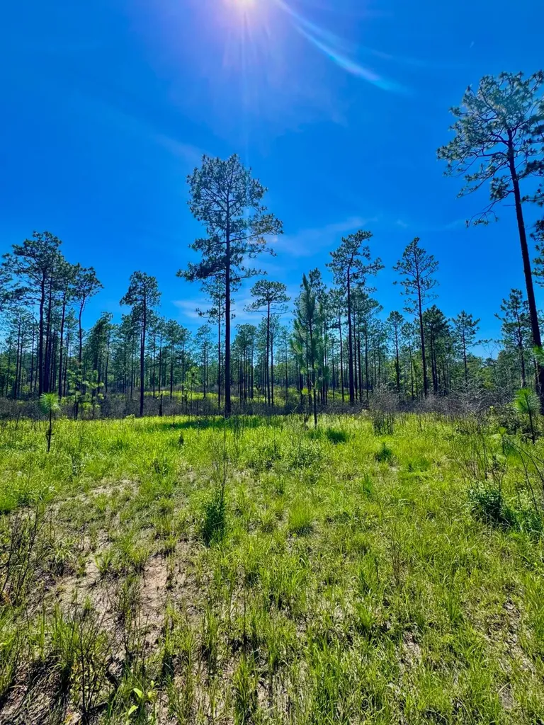 0 Hubert Morris Road Wilmer AL 36587