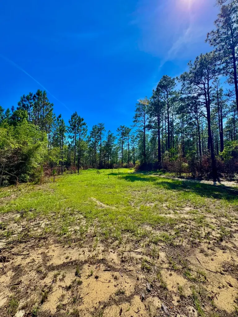 0 Hubert Morris Road Wilmer AL 36587
