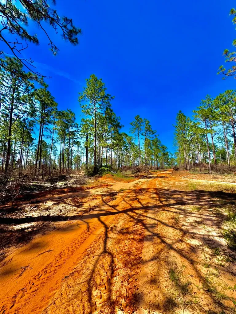 0 Hubert Morris Road Wilmer AL 36587