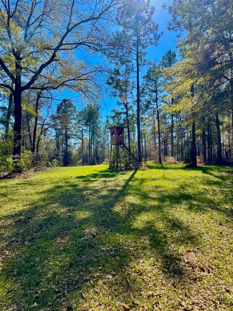 0 Hubert Morris Road Wilmer AL 36587