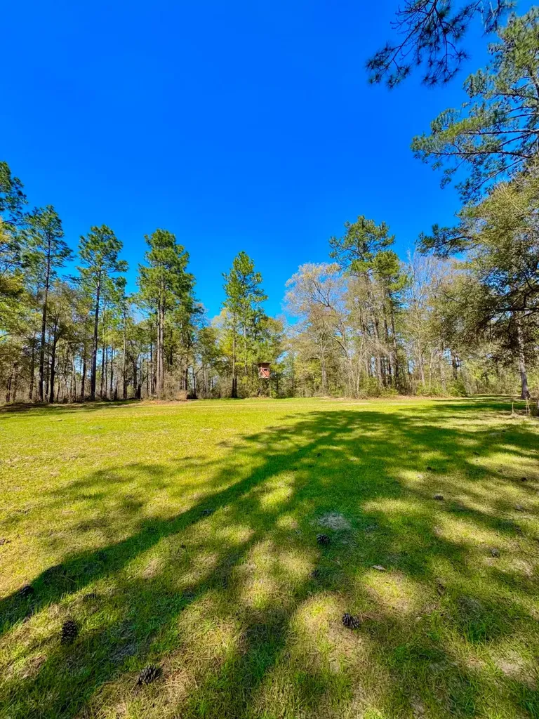 0 Hubert Morris Road Wilmer AL 36587