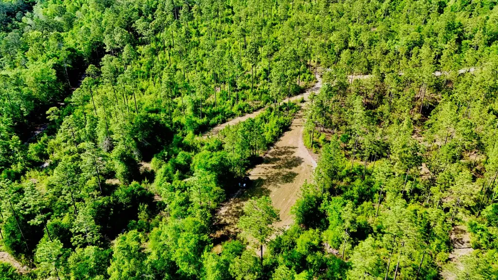 0 Hubert Morris Road Wilmer AL 36587