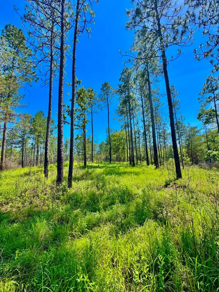 0 Hubert Morris Road Wilmer AL 36587