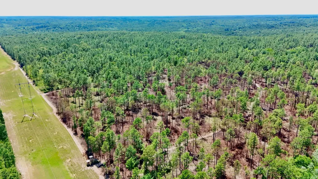 0 Hubert Morris Road Wilmer AL 36587