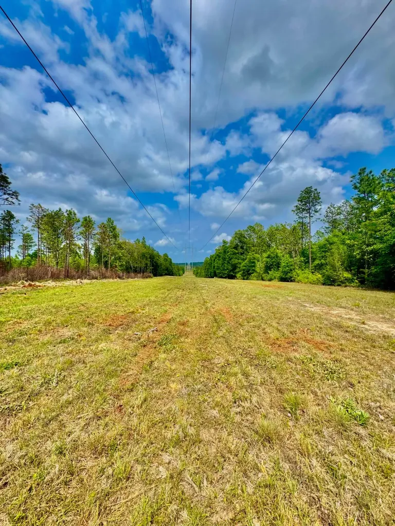 0 Hubert Morris Road Wilmer AL 36587