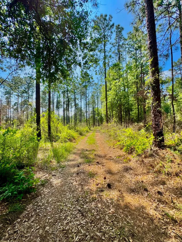 0 Hubert Morris Road Wilmer AL 36587
