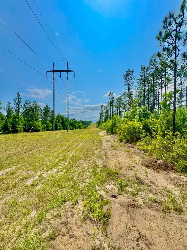 0 Hubert Morris Road Wilmer AL 36587