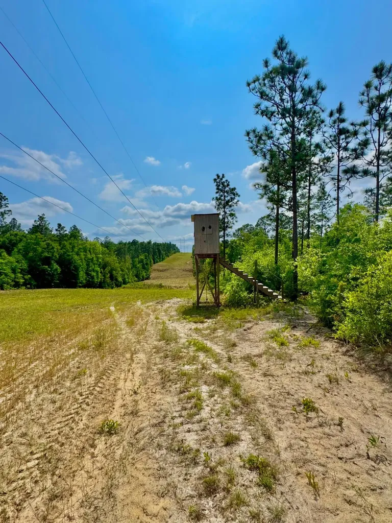 0 Hubert Morris Road Wilmer AL 36587