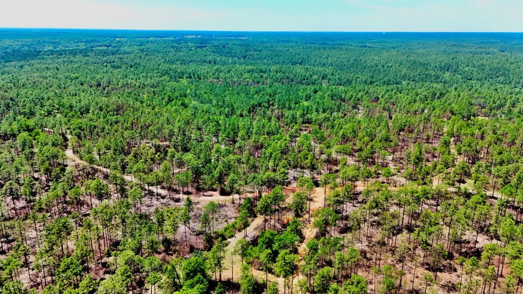 0 Hubert Morris Road Wilmer AL 36587