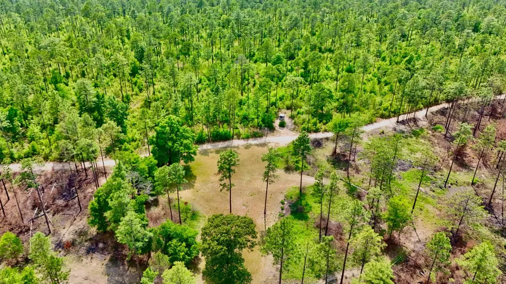 0 Hubert Morris Road Wilmer AL 36587