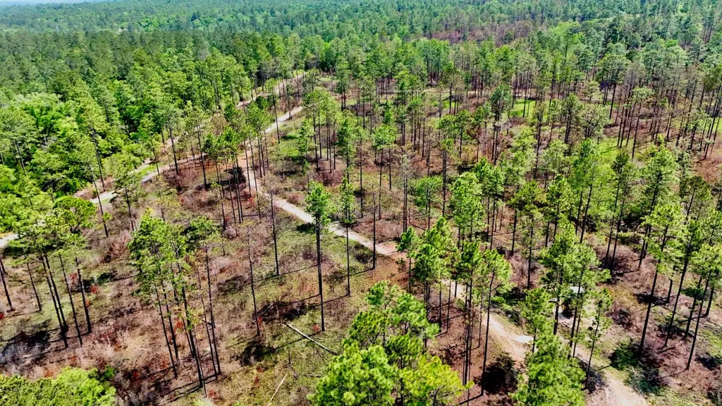0 Hubert Morris Road Wilmer AL 36587