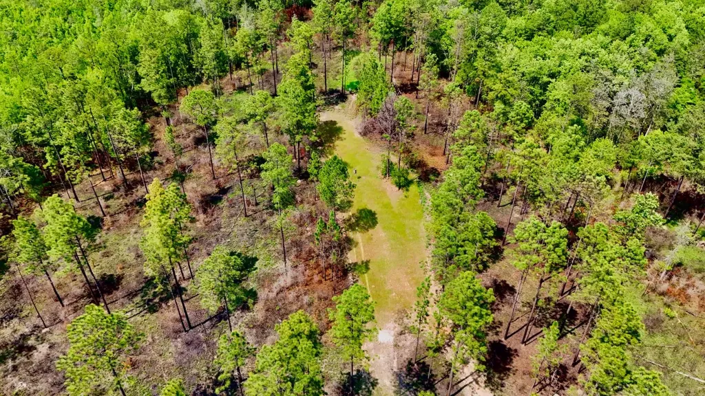 0 Hubert Morris Road Wilmer AL 36587
