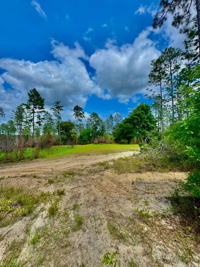0 Hubert Morris Road Wilmer AL 36587