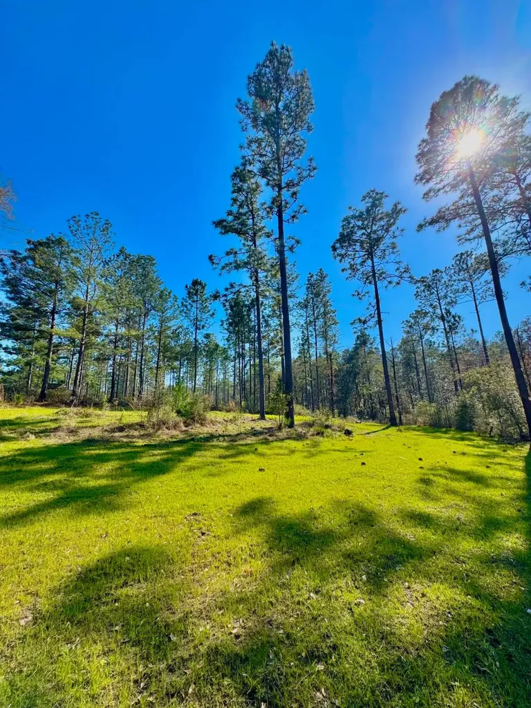 0 Hubert Morris Road Wilmer AL 36587