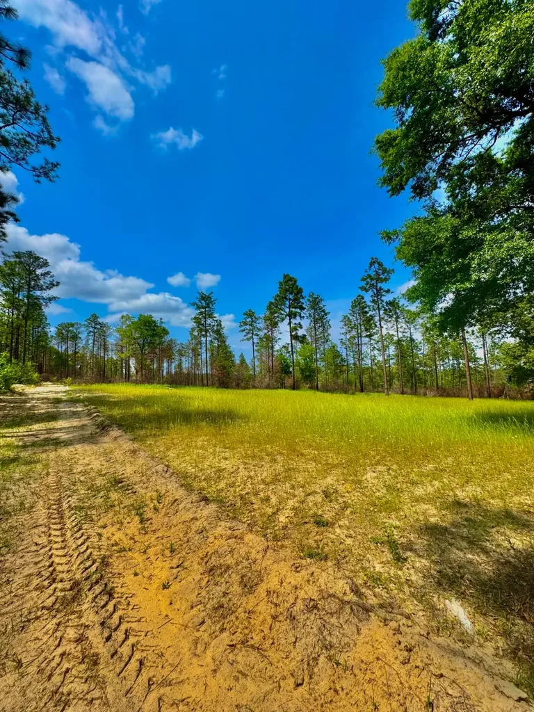 0 Hubert Morris Road Wilmer AL 36587