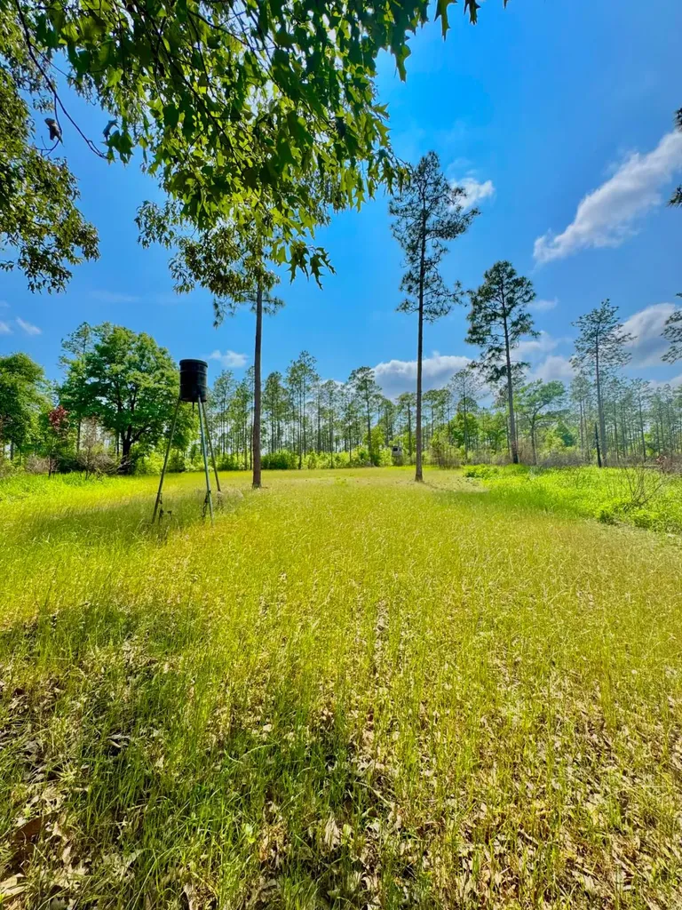 0 Hubert Morris Road Wilmer AL 36587