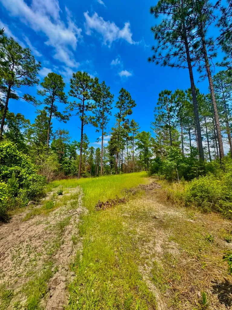 0 Hubert Morris Road Wilmer AL 36587