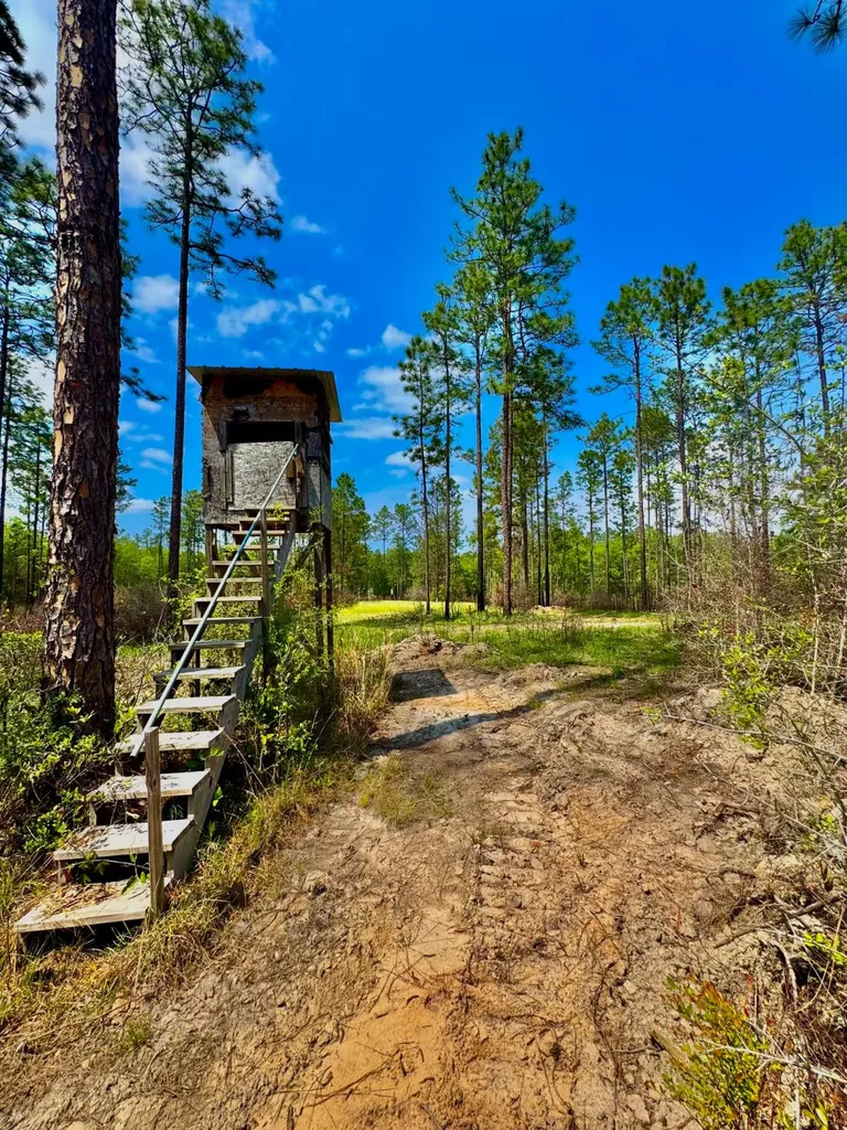 0 Hubert Morris Road Wilmer AL 36587