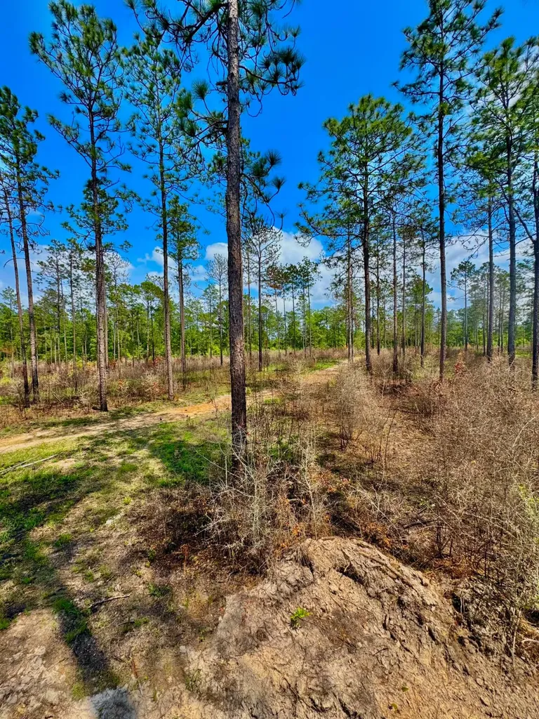 0 Hubert Morris Road Wilmer AL 36587