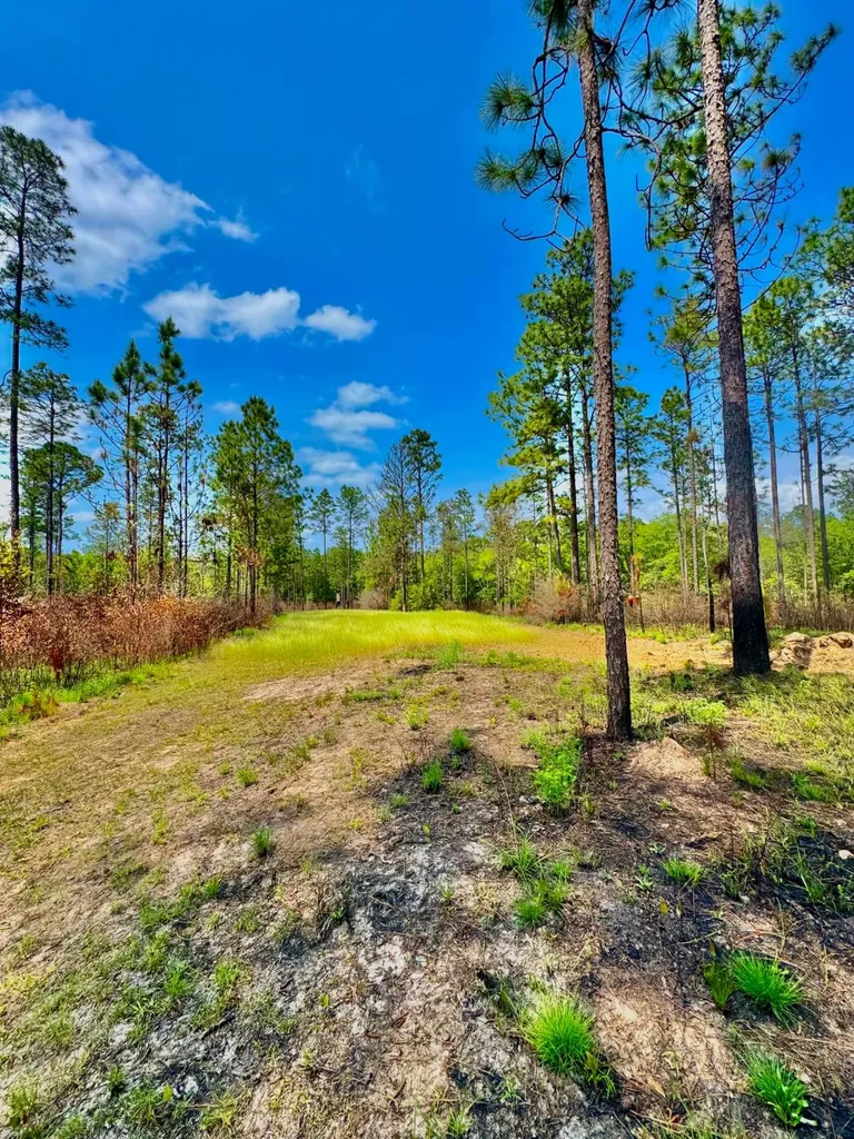0 Hubert Morris Road Wilmer AL 36587