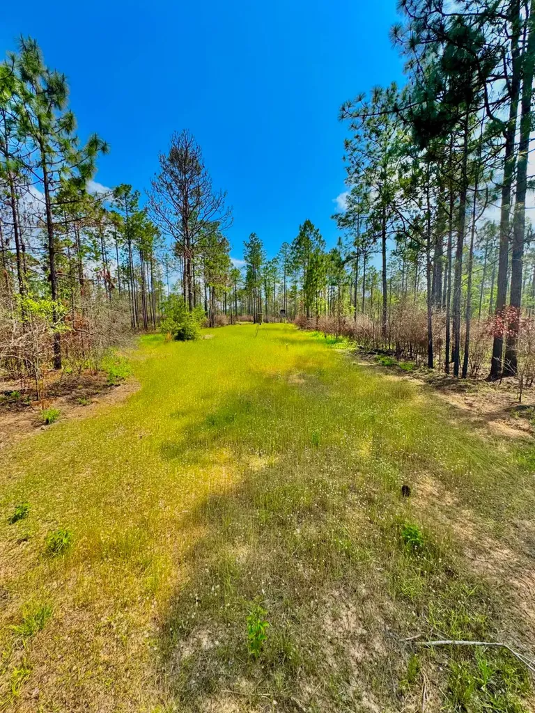 0 Hubert Morris Road Wilmer AL 36587