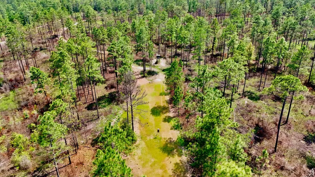 0 Hubert Morris Road Wilmer AL 36587
