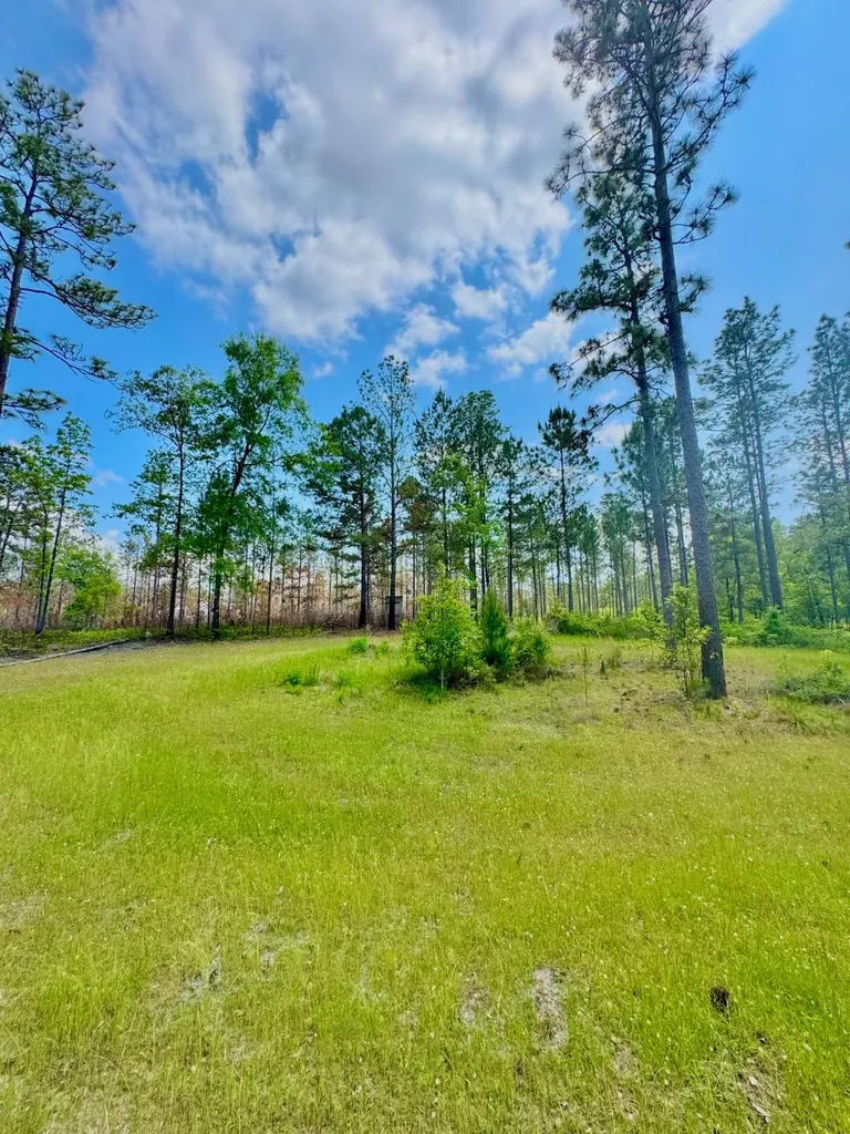 0 Hubert Morris Road Wilmer AL 36587