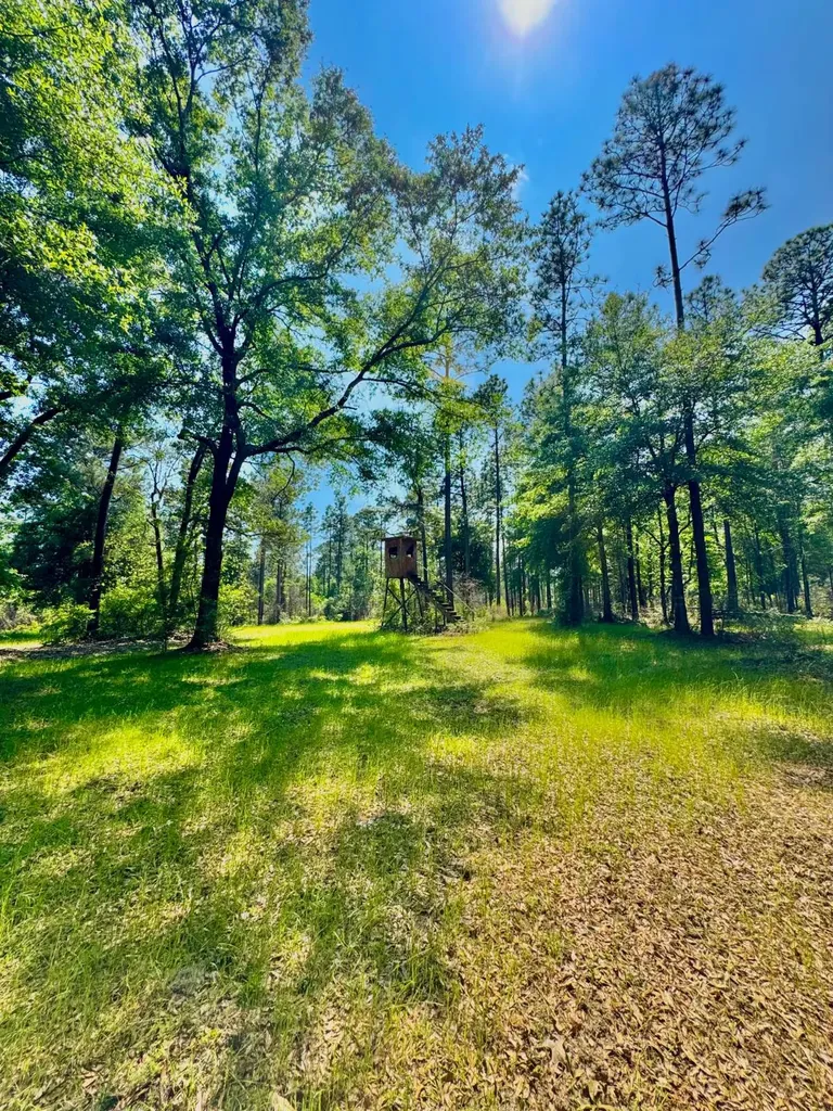 0 Hubert Morris Road Wilmer AL 36587