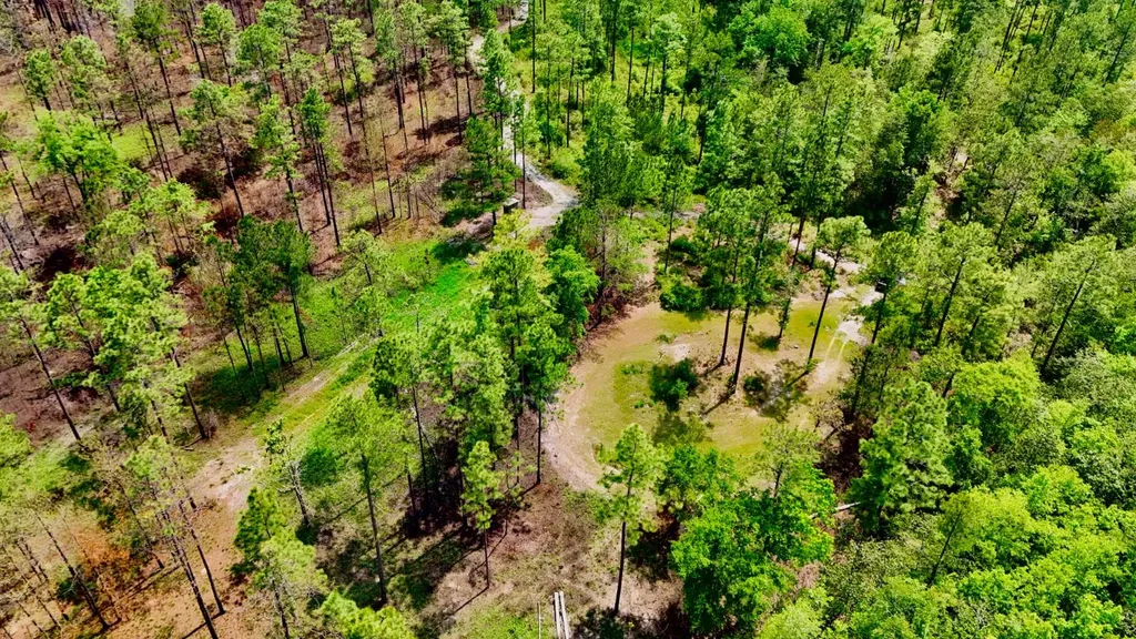 0 Hubert Morris Road Wilmer AL 36587