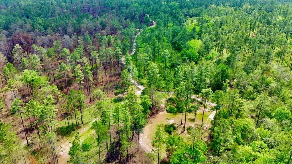 0 Hubert Morris Road Wilmer AL 36587