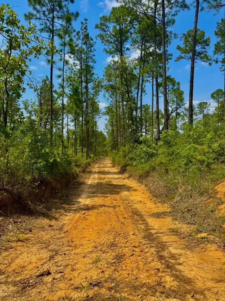0 Hubert Morris Road Wilmer AL 36587