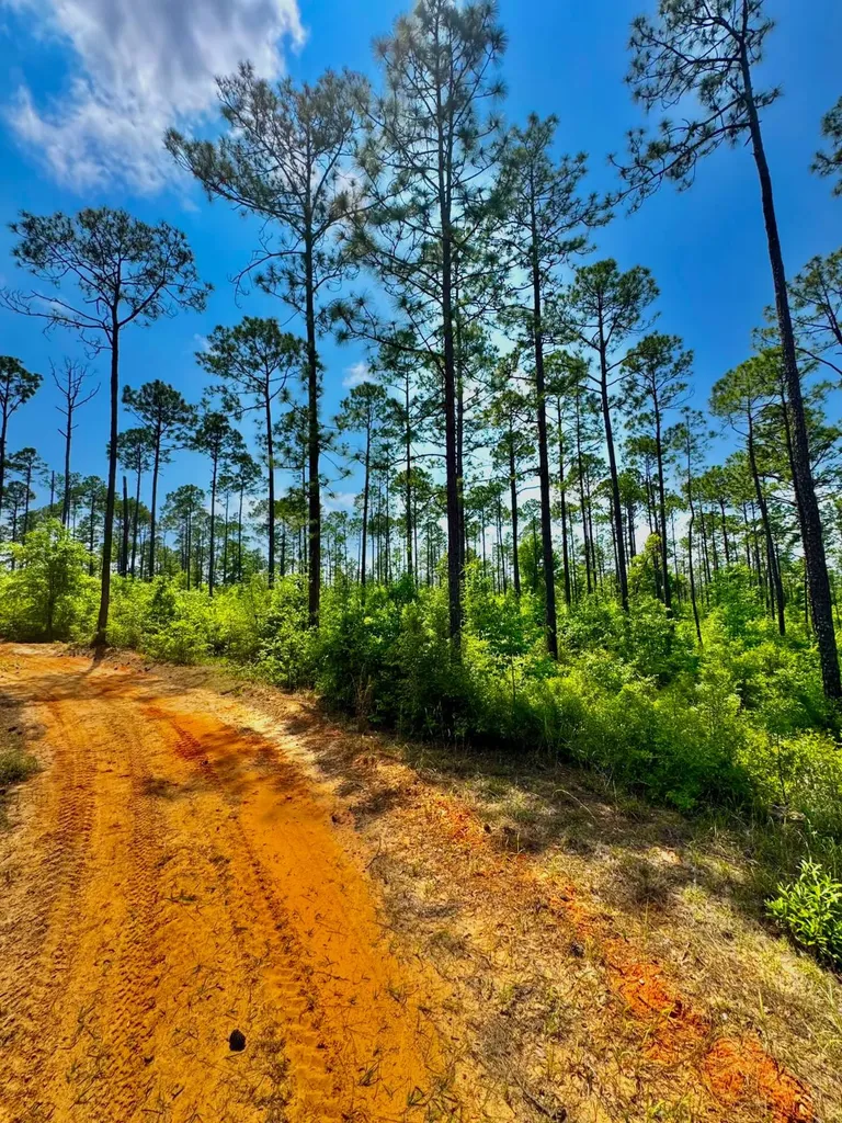 0 Hubert Morris Road Wilmer AL 36587