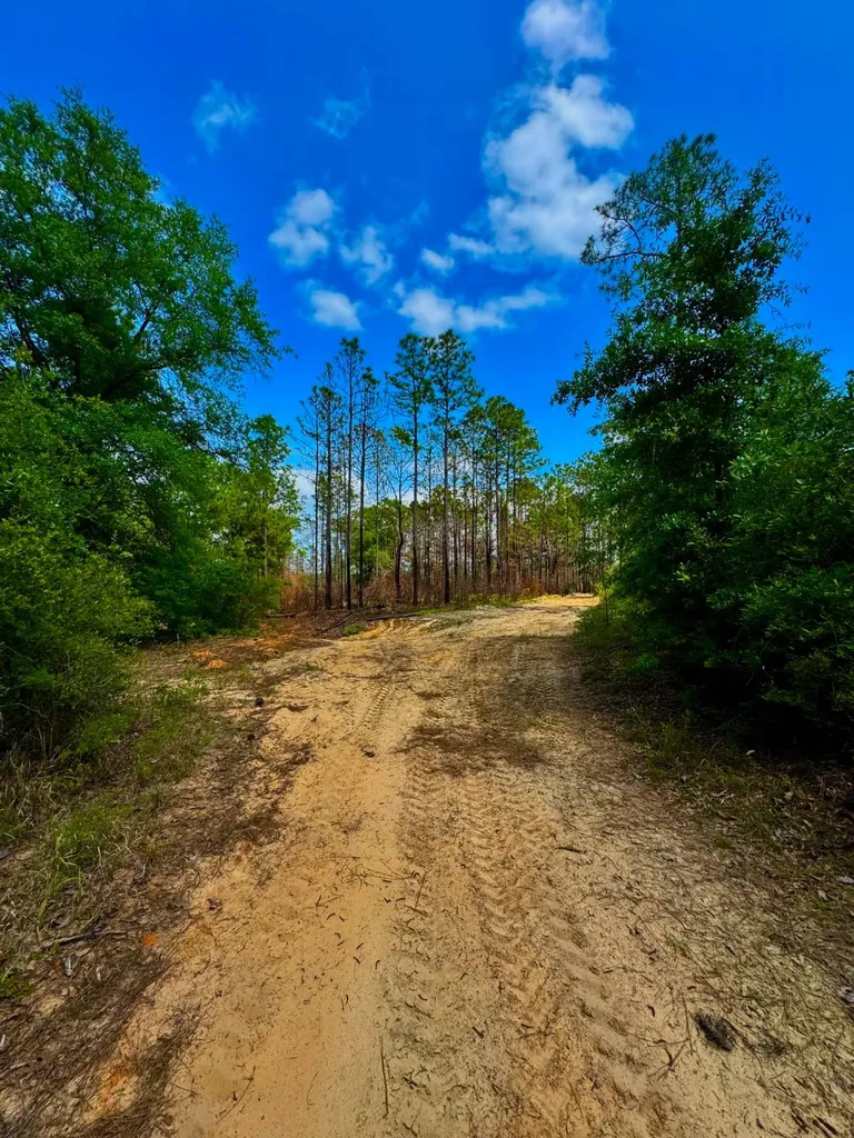 0 Hubert Morris Road Wilmer AL 36587