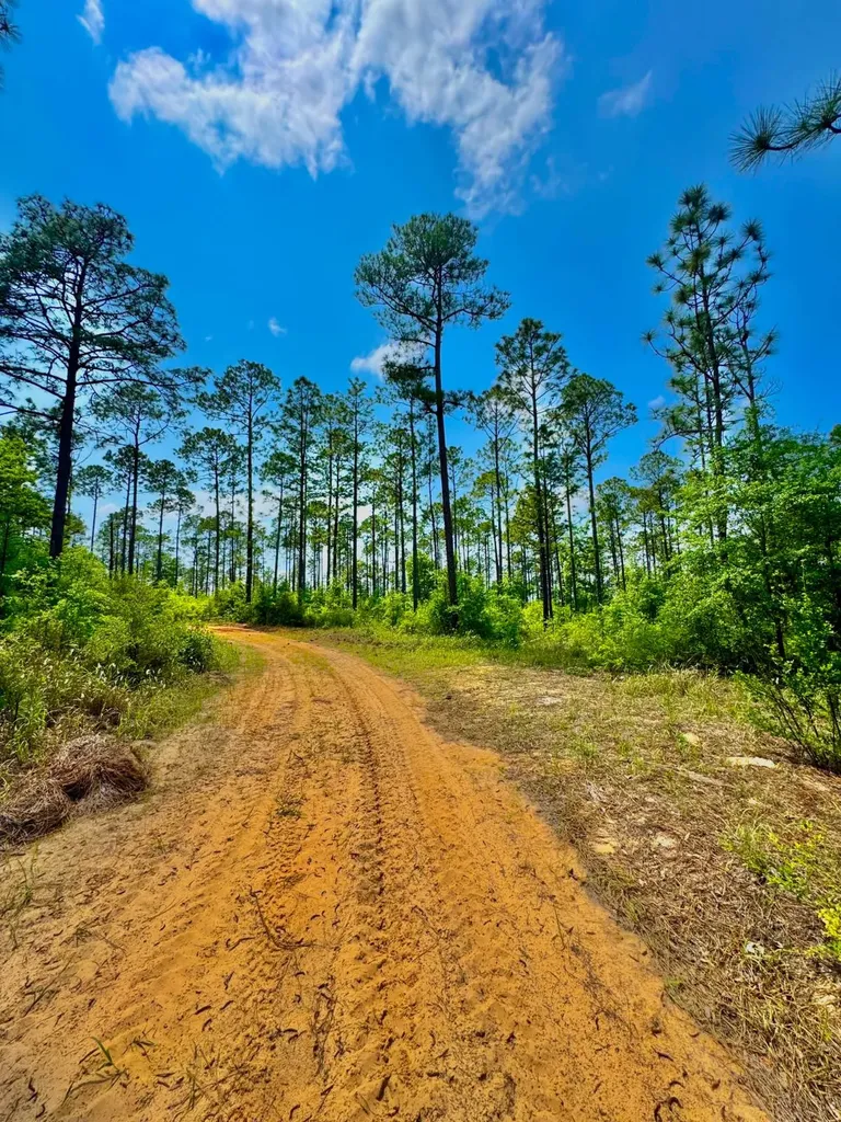 0 Hubert Morris Road Wilmer AL 36587