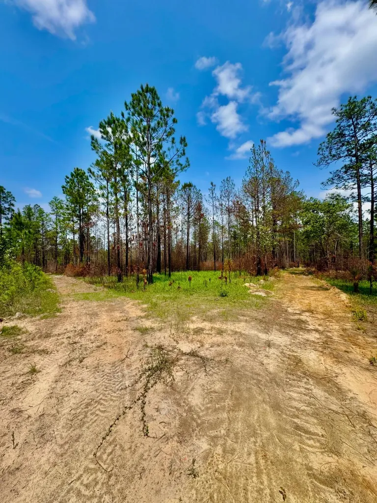 0 Hubert Morris Road Wilmer AL 36587