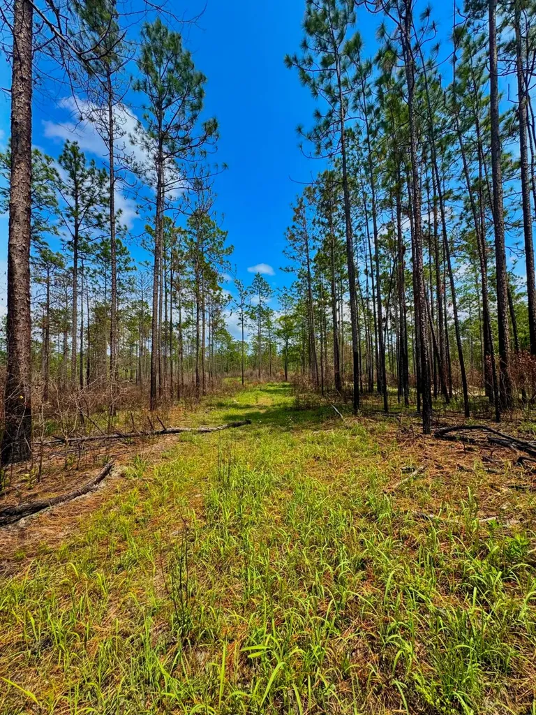 0 Hubert Morris Road Wilmer AL 36587
