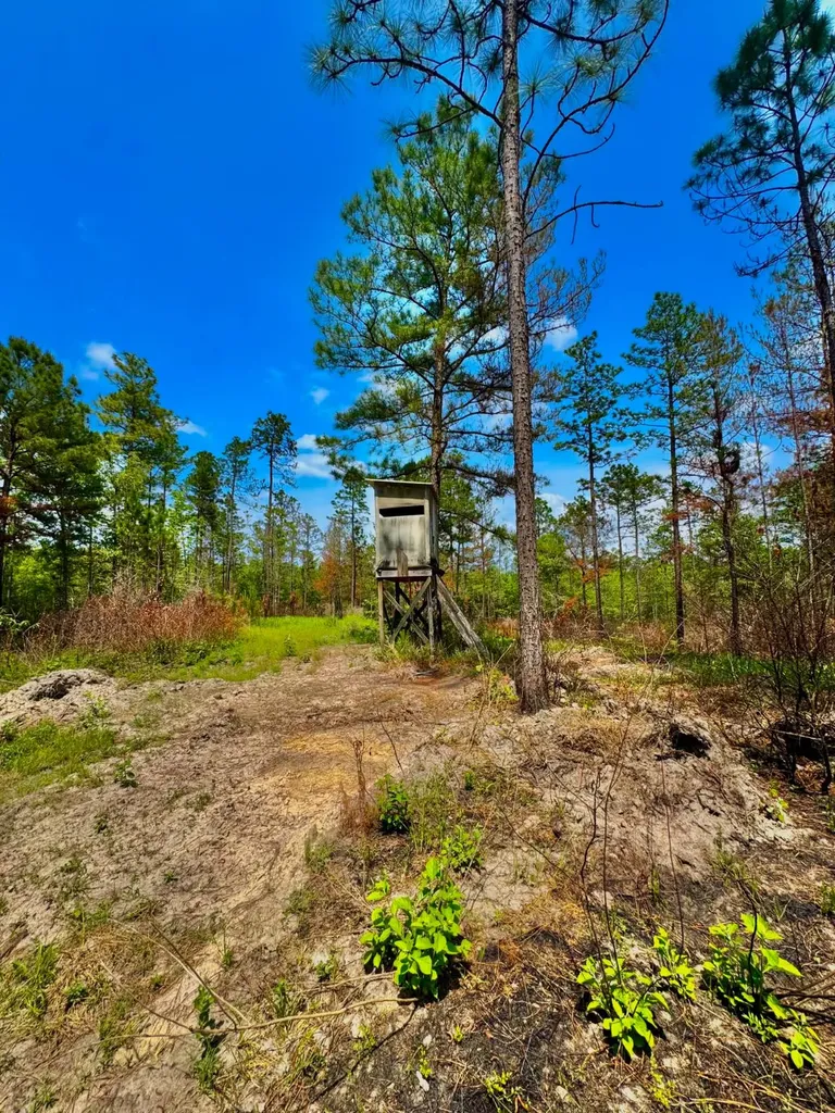 0 Hubert Morris Road Wilmer AL 36587