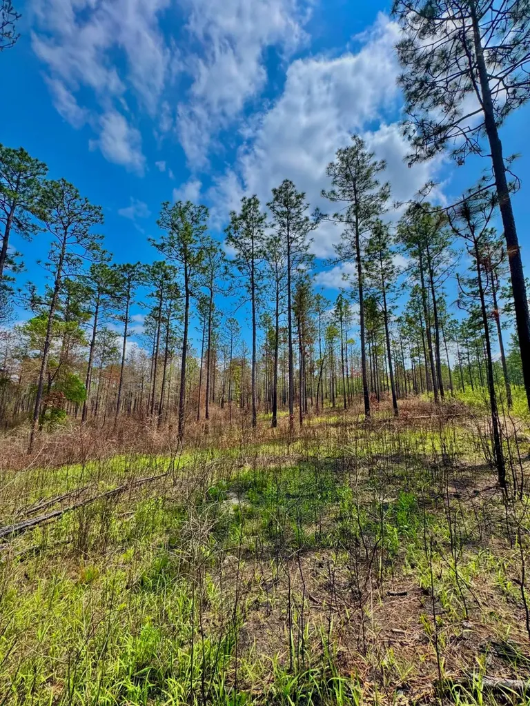0 Hubert Morris Road Wilmer AL 36587