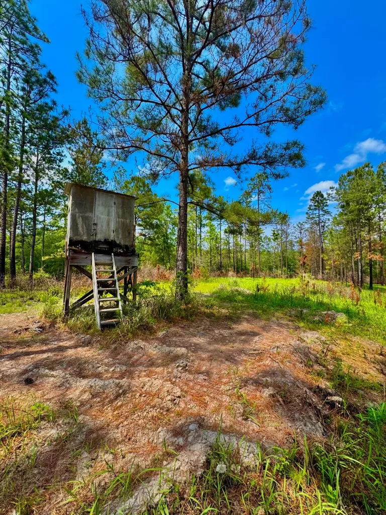 0 Hubert Morris Road Wilmer AL 36587