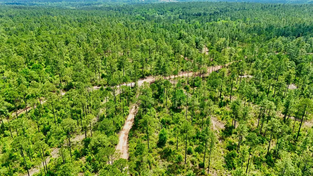 0 Hubert Morris Road Wilmer AL 36587